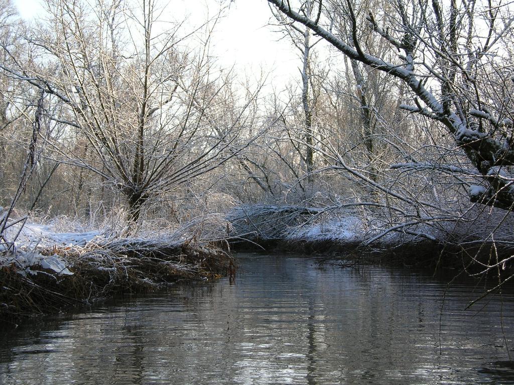 De Brabantse Biesbosch Hotel Werkendam Екстериор снимка
