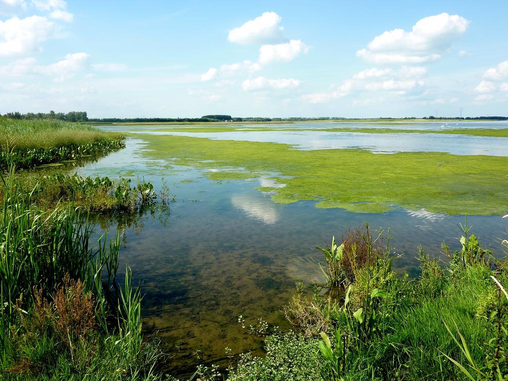 De Brabantse Biesbosch Hotel Werkendam Екстериор снимка